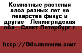 Комнатные растения алоэ разных лет на лекарства фикус и другие - Ленинградская обл., Санкт-Петербург г.  »    
